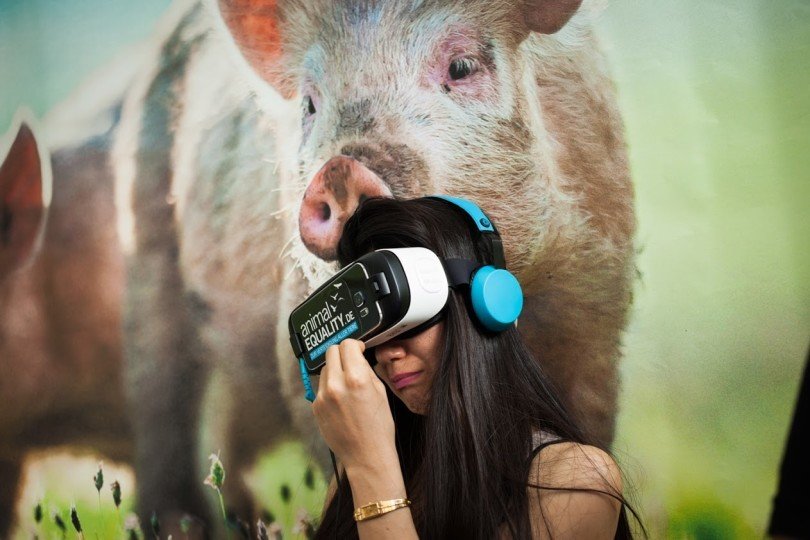 Tierschutz iAnimal mit VR-Brille