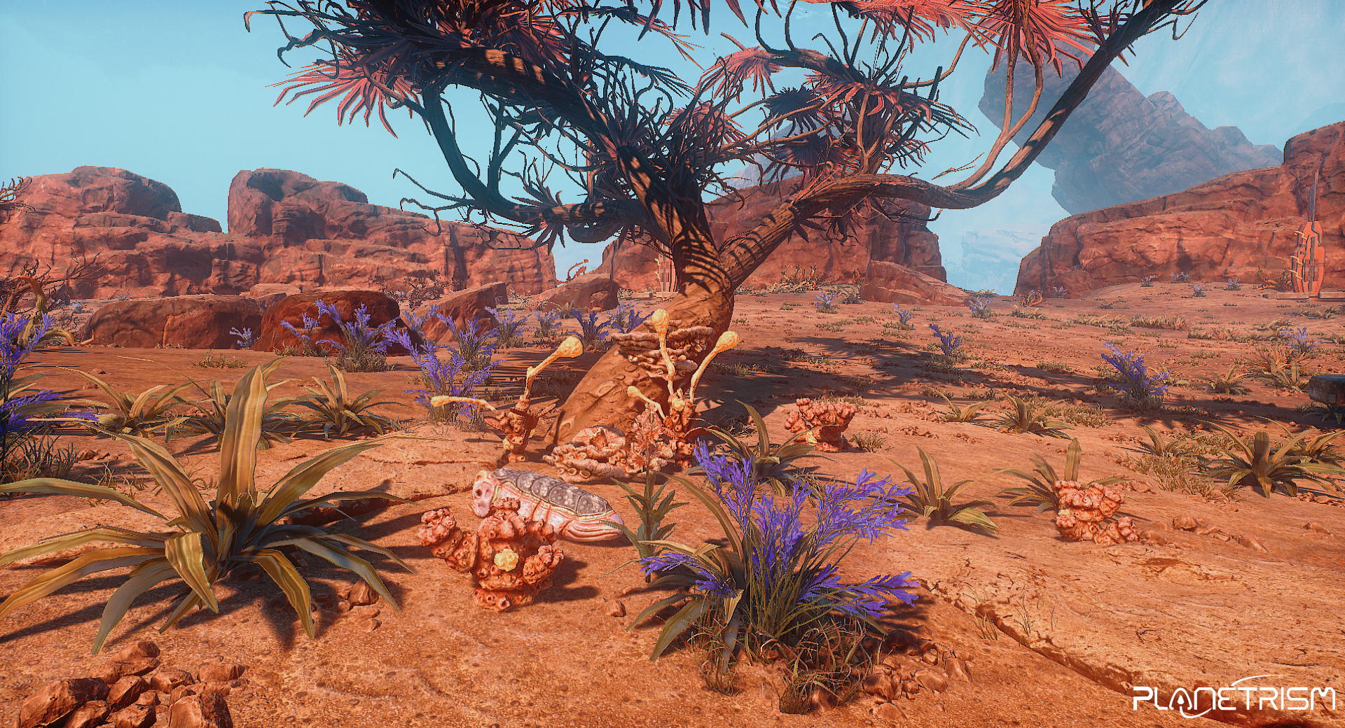 Planetrism-Oculus-Rift-HTC-Vive-Windows-MR