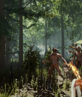 The Forest VR