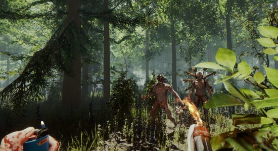 The Forest VR