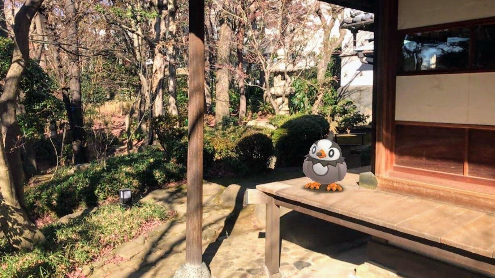 Pokemon-Go-Snapshot-AR-Foto